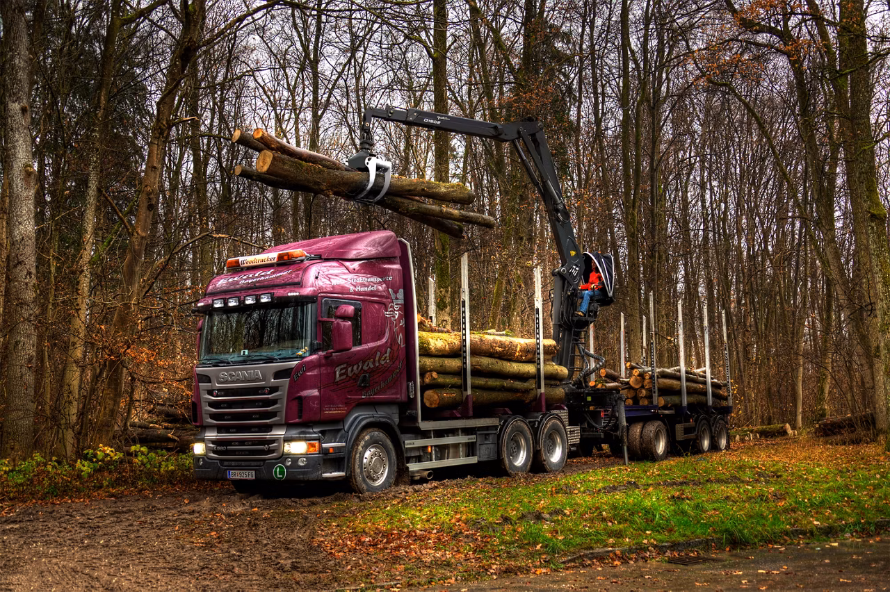 Timber Crane Epsilon Q150Z